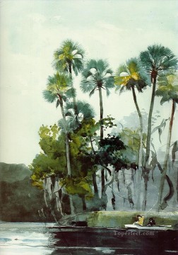 Acuarela del río Homosassa Winslow Homer Pinturas al óleo